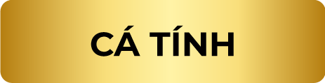 51566374017